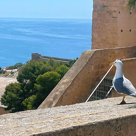 Penthouse Del Mar * Torrevieja