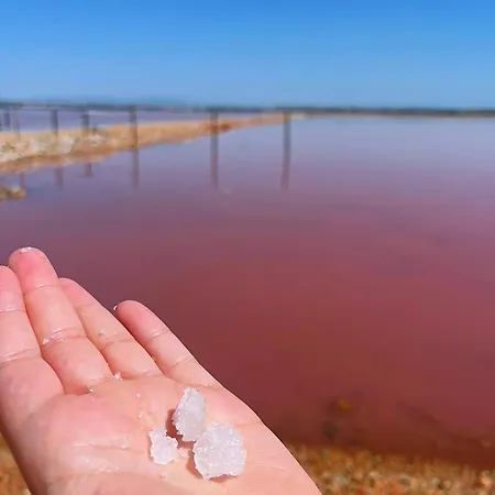 Penthouse Del Mar Torrevieja