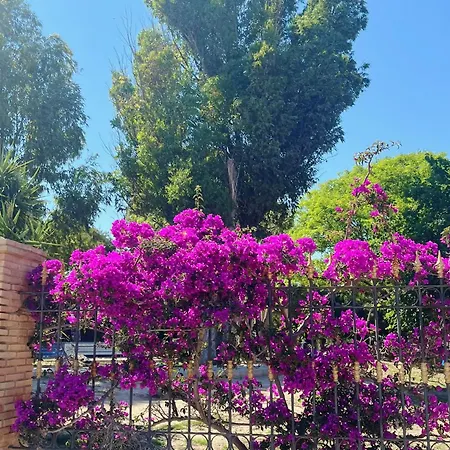 Penthouse Del Mar Lejlighed