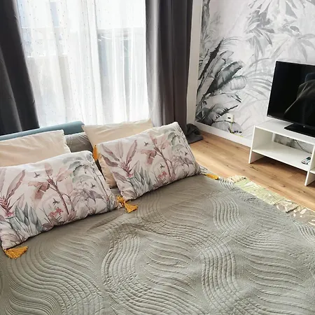 Penthouse Del Mar Apartment Torrevieja