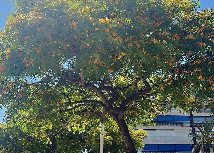 Appartement Penthouse Del Mar Torrevieja