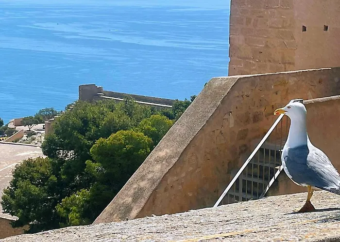 Penthouse Del Mar * Torrevieja