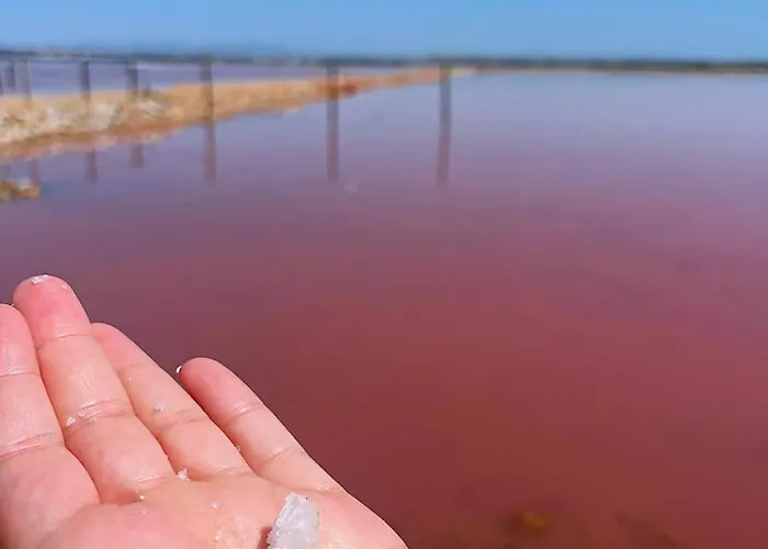 Penthouse Del Mar Torrevieja