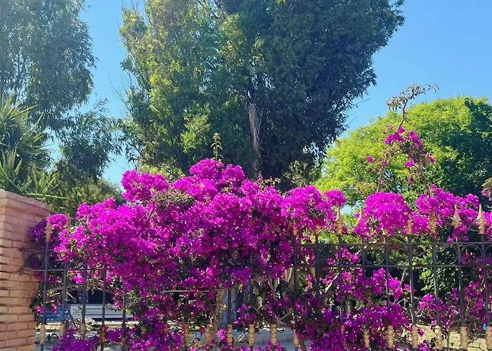Penthouse Del Mar Appartement